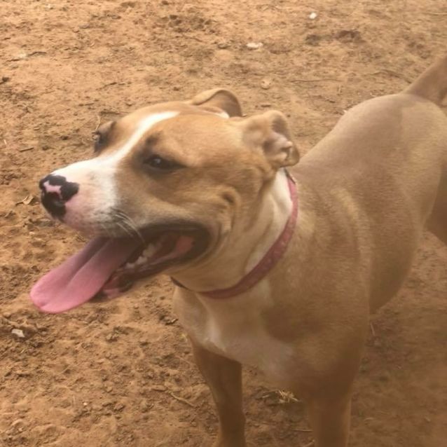 Photo of Roo