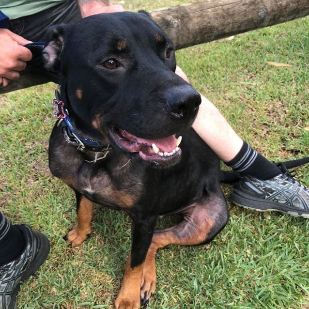 Photo of Lottie Db548