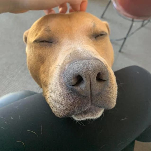 Photo of Theo Dl2545