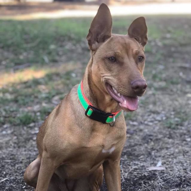 Photo of Millie Db471