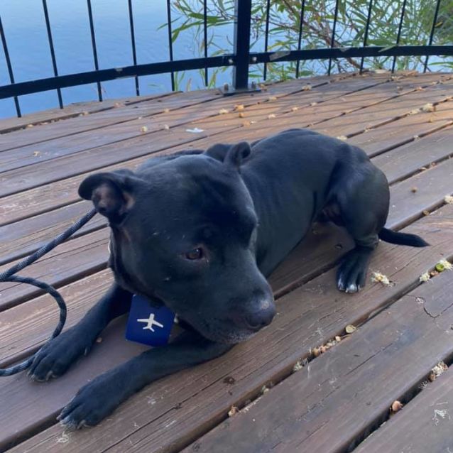 Photo of Albus Dl2629