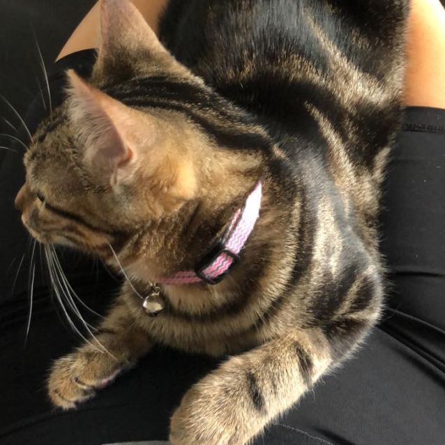 Photo of Lilly