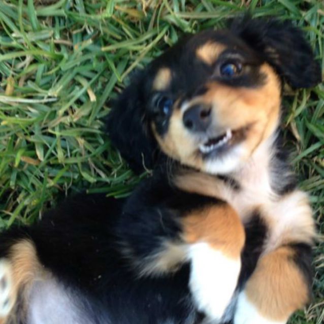 Photo of Lucy