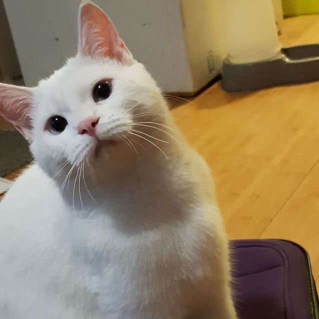 Photo of Crystal