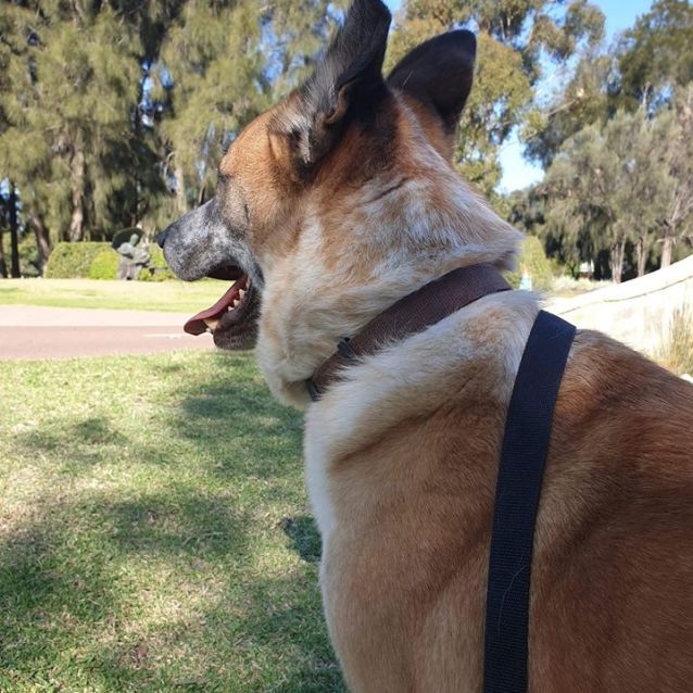 Photo of Cooper Dl2451