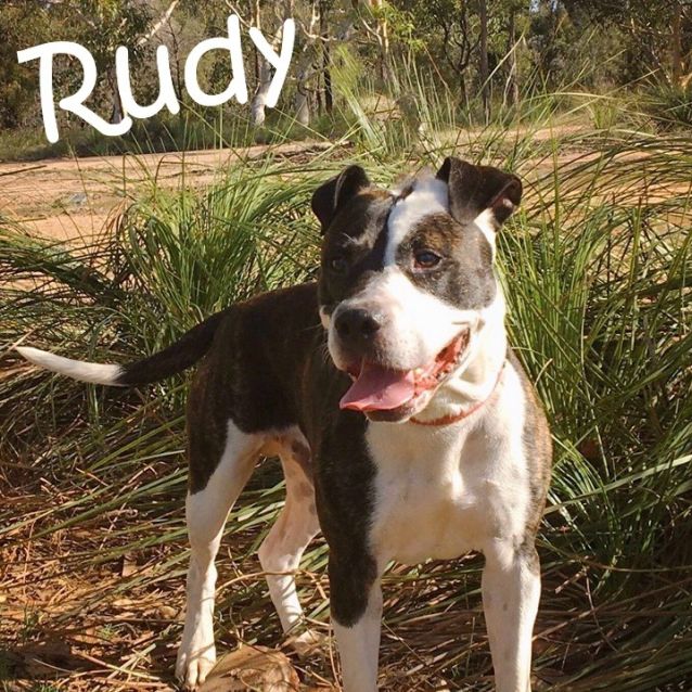 Photo of Rudy