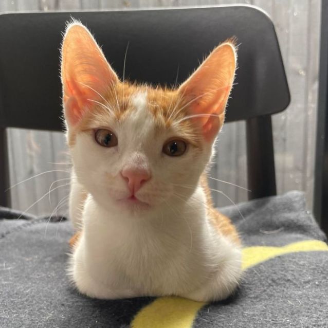 Photo of River   Located In Preston