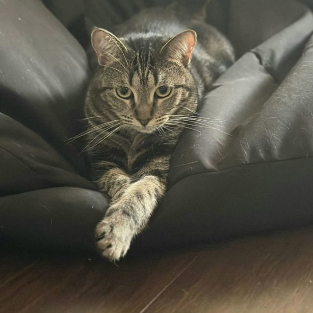 Photo of Lily