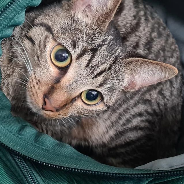 Photo of Rocket
