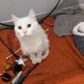 Photo of Fleur