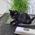 Photo of Peggy