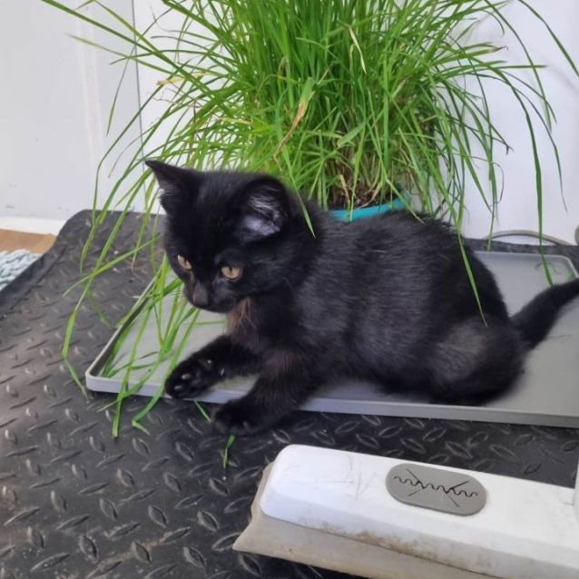 Photo of Peggy