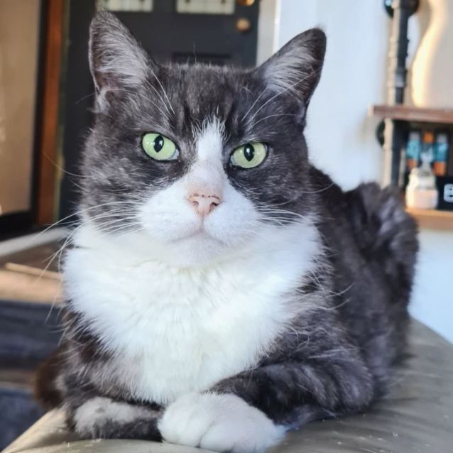 Photo of Scratch