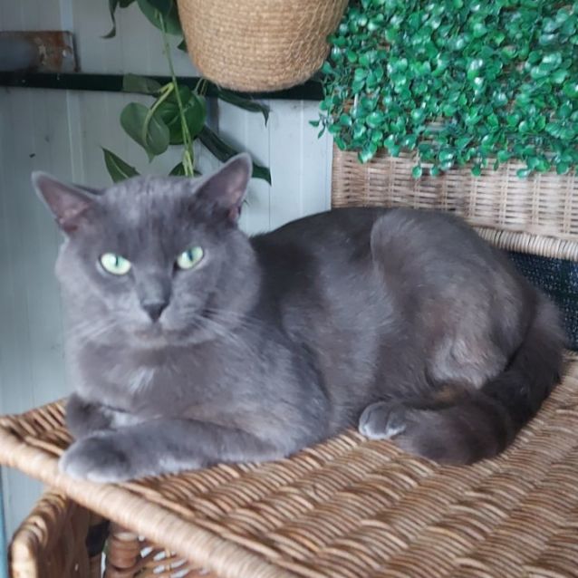 Photo of Charles 👑