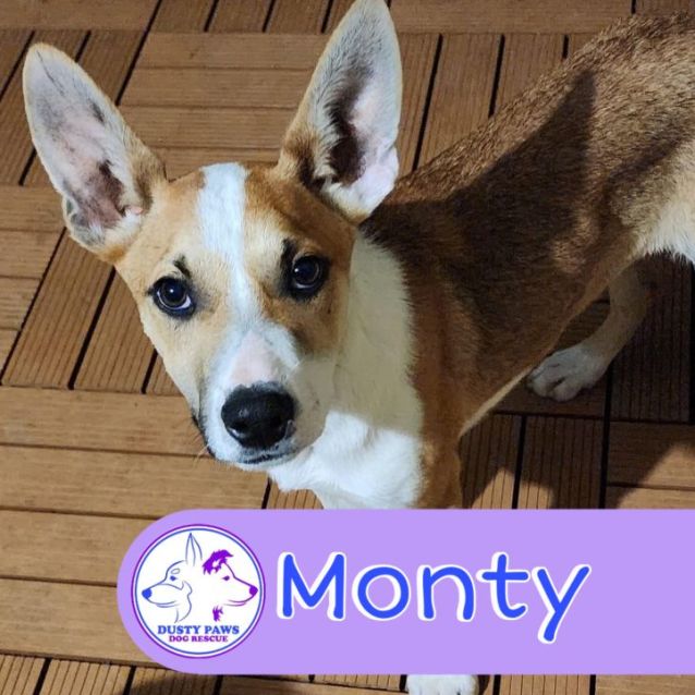 Photo of Monty