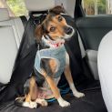 Photo of Maggie