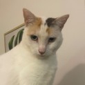Photo of Sofie