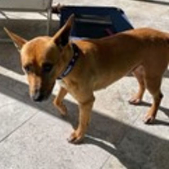 Photo of Cisco