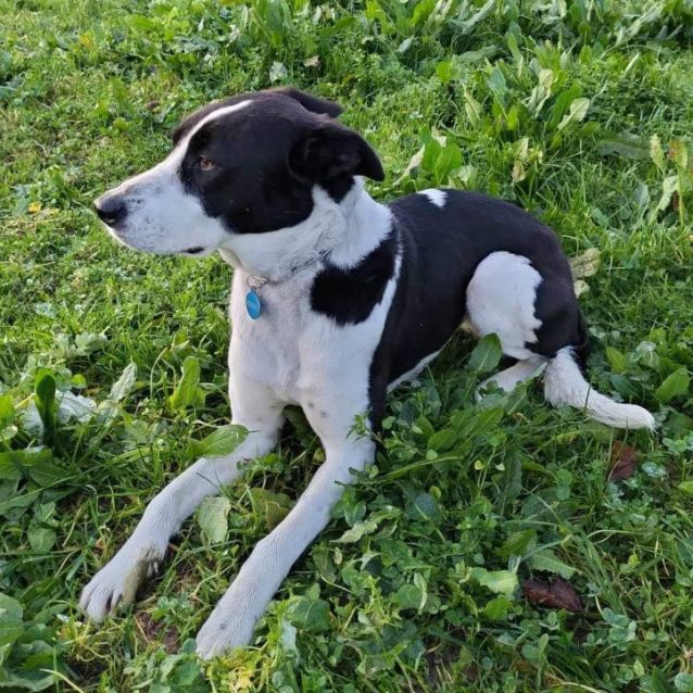 Photo of Bonnie 