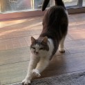 Photo of June