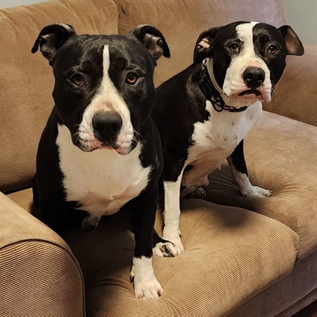 Photo of Jane And Thor