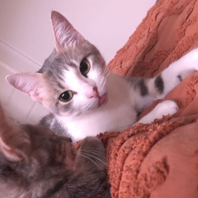 Photo of Freyr & Athena