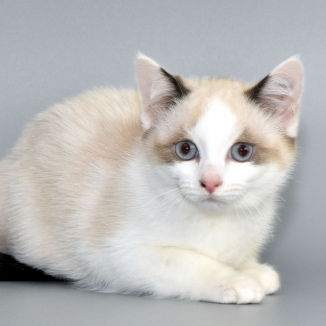 Photo of Halle Berry