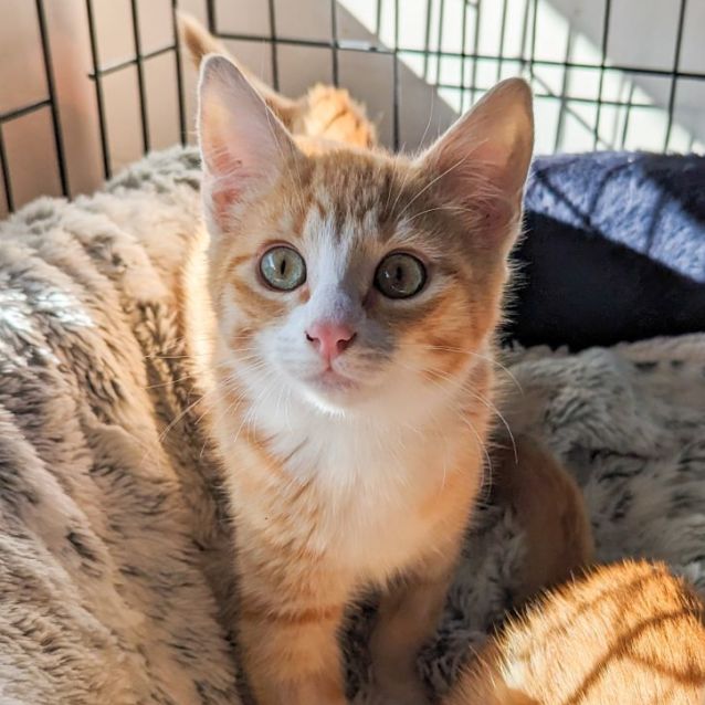 Photo of Sam & Annie