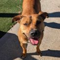 Photo of Xena