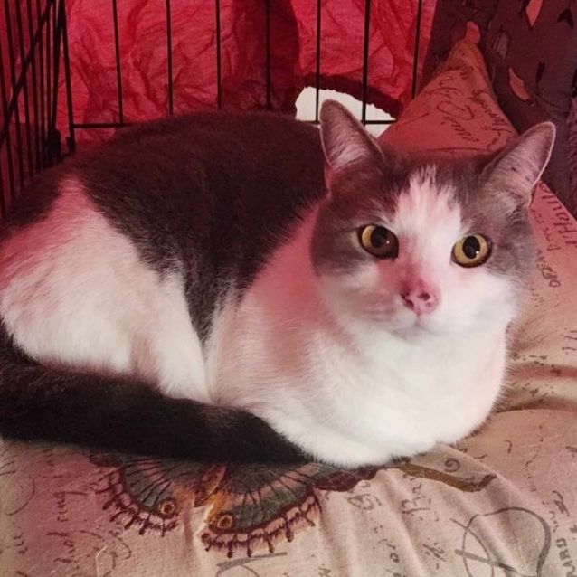 Photo of Molly