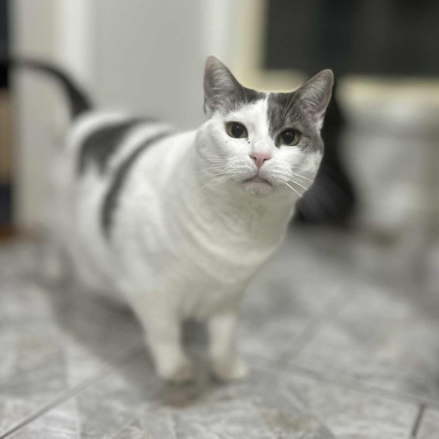 Photo of Bella & Kevin 💕