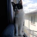 Photo of Luna