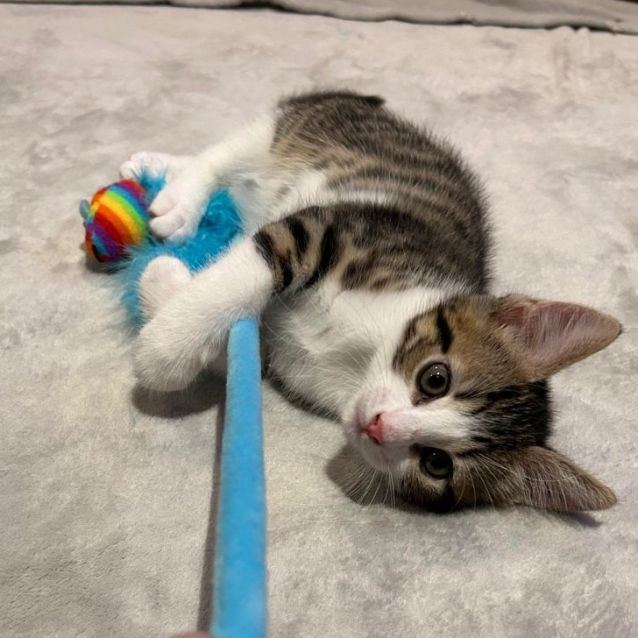 Photo of Mickey & Ariel