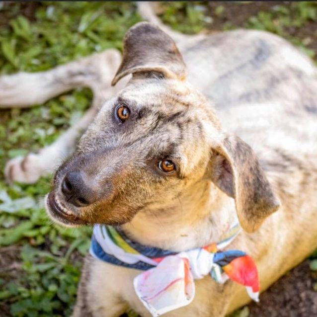 Photo of Luna