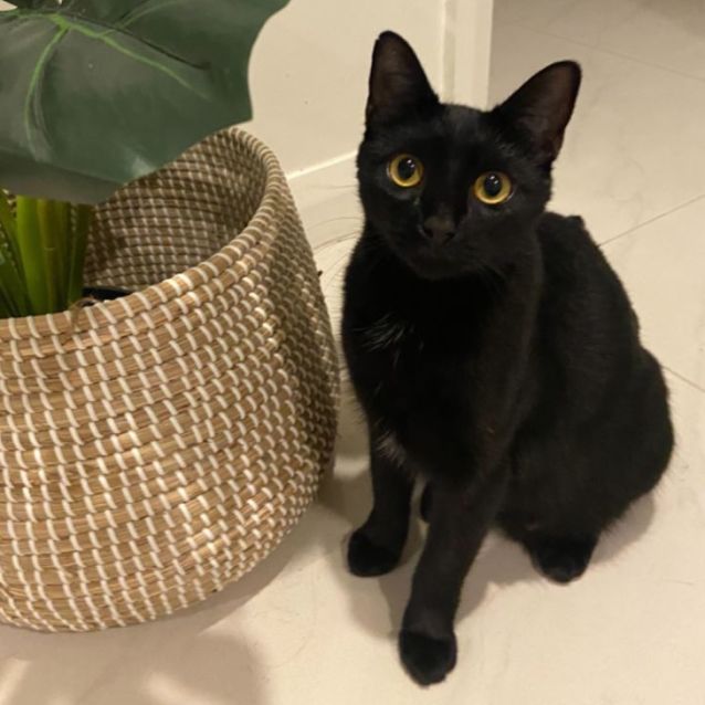 Photo of Bella