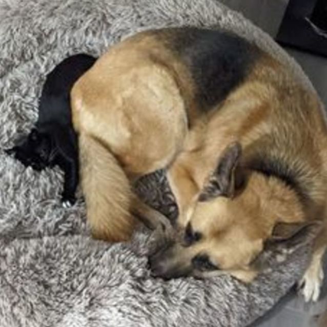 Photo of Harriet Aka Miss Perfect!