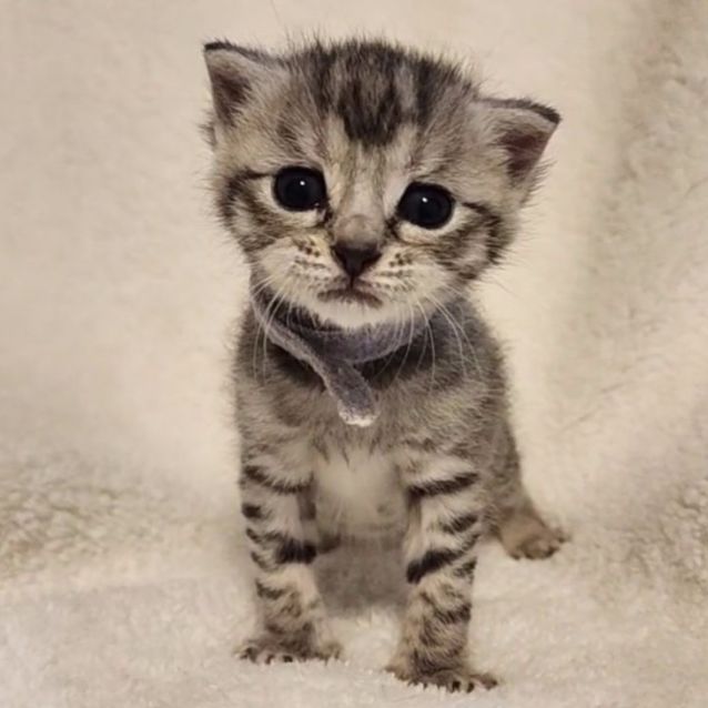 Photo of Hallie ❤️🌹