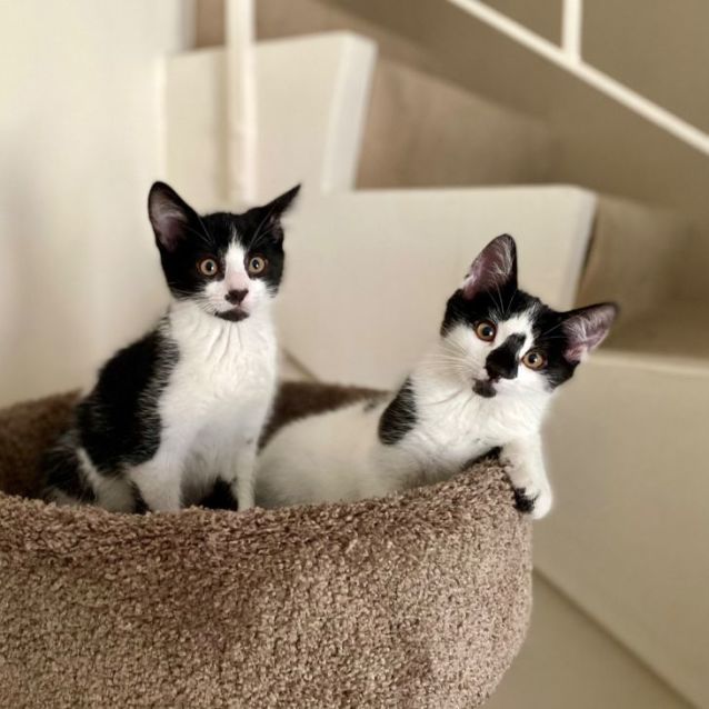 Photo of 🐨Blinky Bill🐨