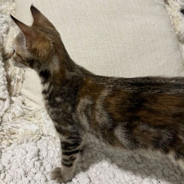 Photo of Elsie 🦋💕