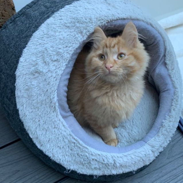 Photo of Jaggar😍💙🐾😽