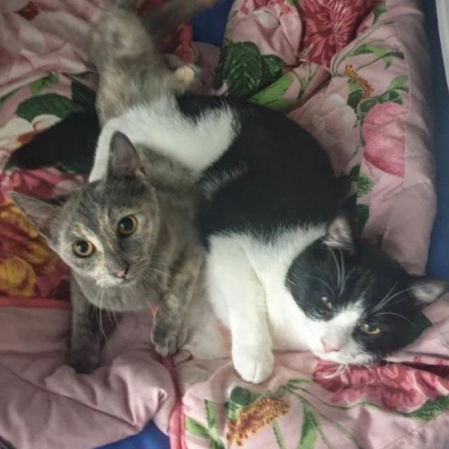 Photo of Bruno & Felicity