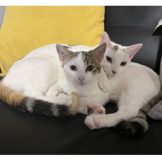 Photo of Holly & Hope 