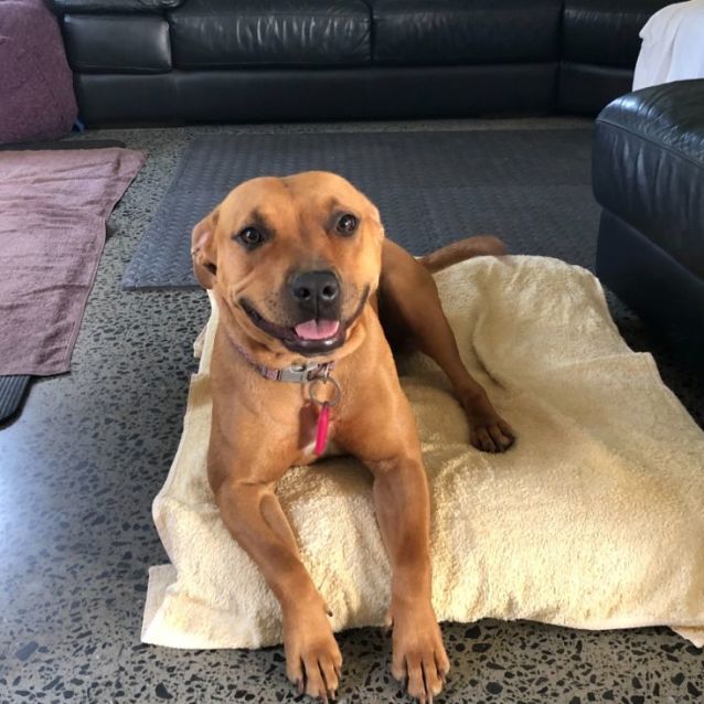 Photo of Maggie