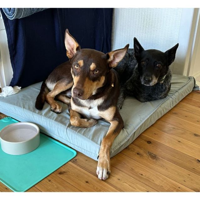 Photo of Lennox Aka Lenny