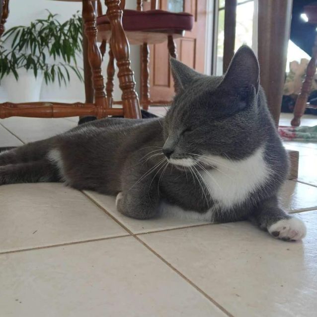 Photo of Pudding