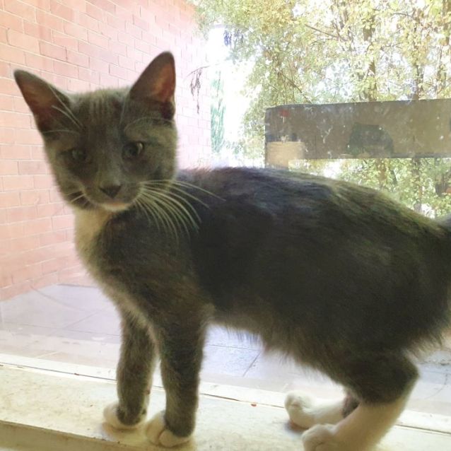 Photo of Hattie