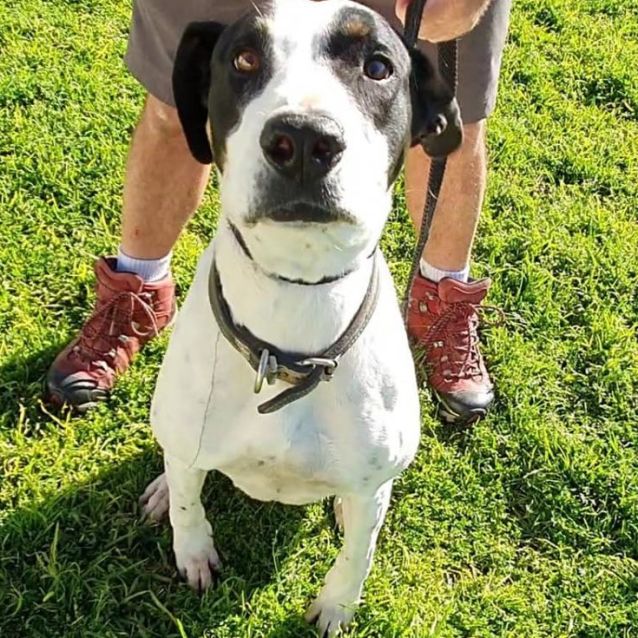 Photo of Alexa Dl2719