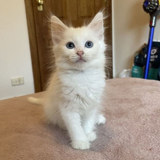 Photo of Paris & Toulouse 