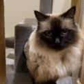 Photo of Tahlulah