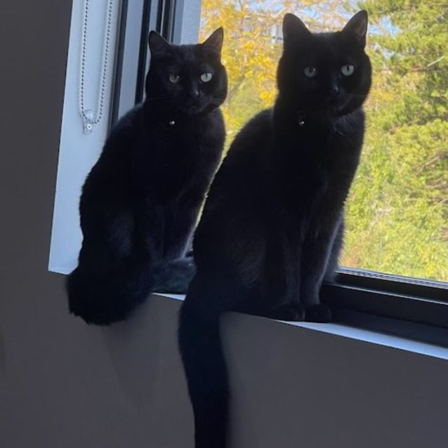 Photo of Asami And Yumi